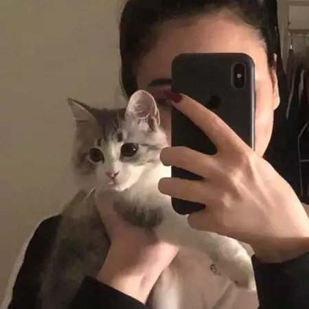 Alina, 25موسكو, روسيا 