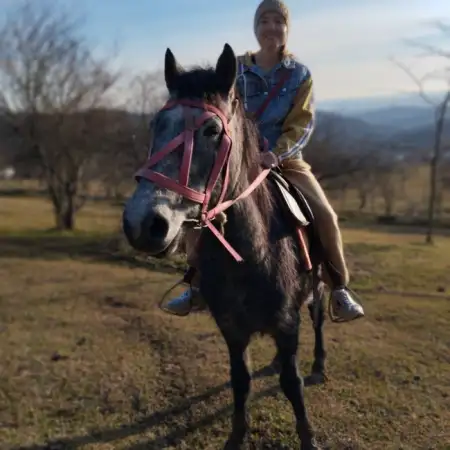 Elmira, 40موسكو, روسيا 