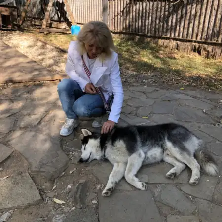 Dinara, 45موسكو, روسيا 