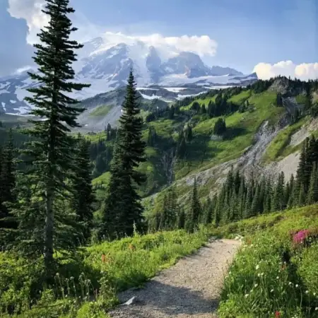 Venera, 40موسكو, روسيا 