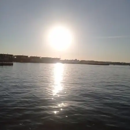 Alfi, 36موسكو, روسيا 