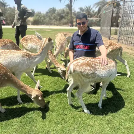 Omar, 33الإمارات العربية المتحدة 