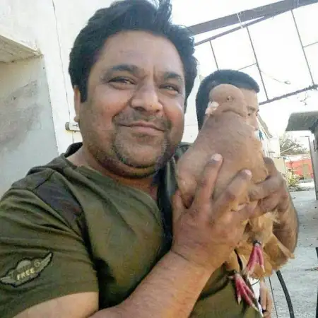 Meeban, 50عمان