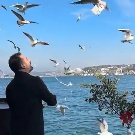 Yusuf, 40Bartin, تركيا 