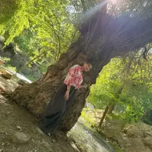 صورة Guldjan 4 