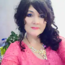 صورة Venera 1 