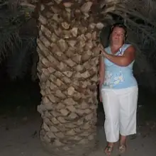 صورة Damira 4 