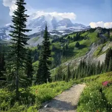 صورة Venera 3 