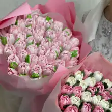 صورة Elya 2 