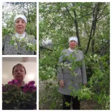 صورة Gulfiya 4 