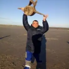 صورة Aydar 4 