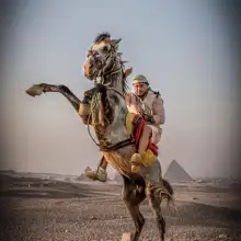 صورة Mahmoud 4 