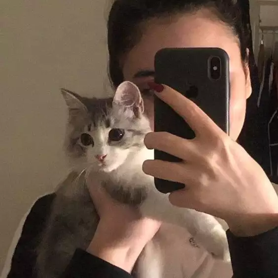 Alina, 25, موسكو, روسيا - موقع التعارف الإسلامي