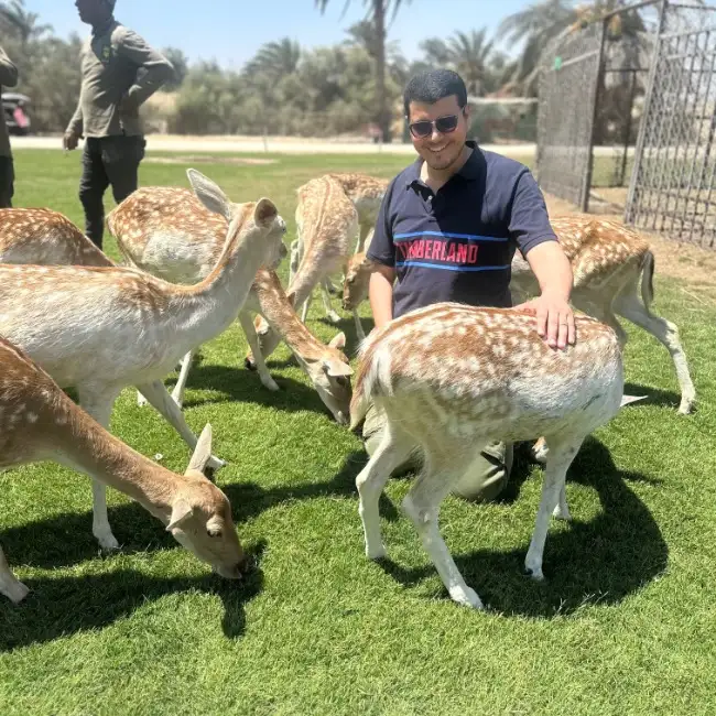 Omar, 33, الإمارات العربية المتحدة - موقع التعارف الإسلامي