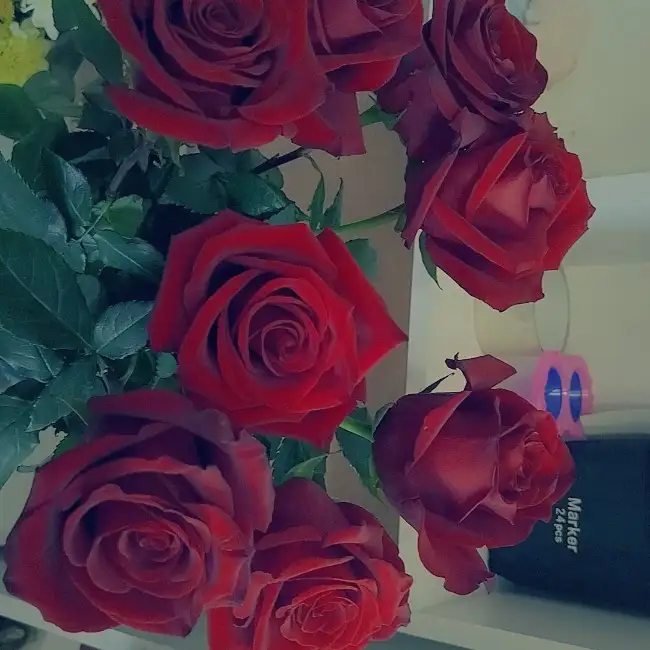Guliya, 38, قازان, روسيا